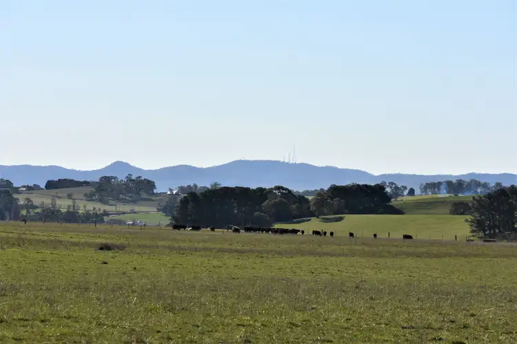 93 Peppermint Lane, Tallwood NSW 2798
