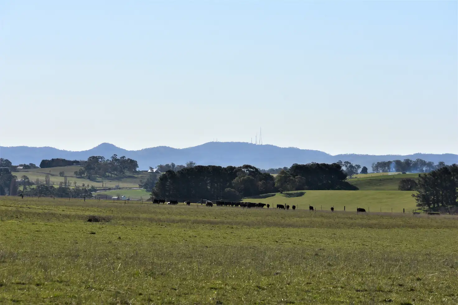 Main view of Homely rural property listing, 93 Peppermint Lane, Tallwood NSW 2798
