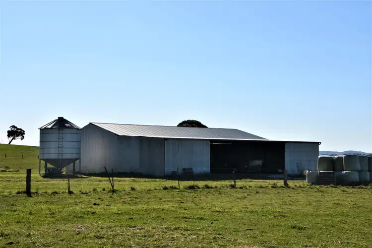 Third view of Homely rural property listing, 93 Peppermint Lane, Tallwood NSW 2798