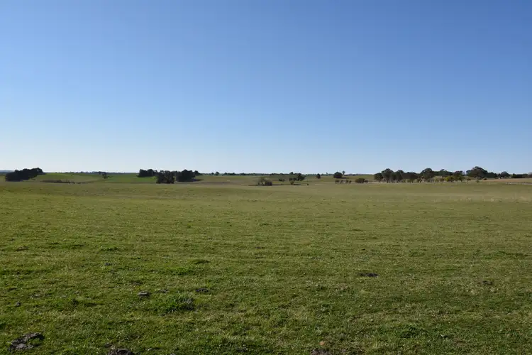 Fifth view of Homely rural property listing, 93 Peppermint Lane, Tallwood NSW 2798