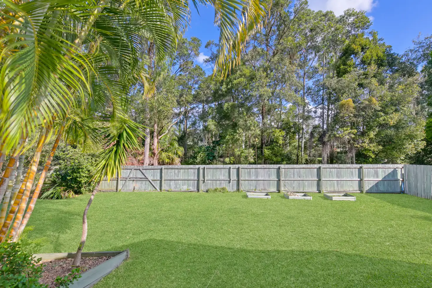 Main view of Homely house listing, 12 Attenborough Close, Buderim QLD 4556