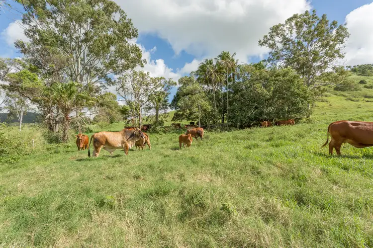 Second view of Homely land listing, 453 Grasstree Road, Grasstree Beach QLD 4740