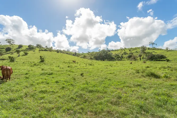 Sixth view of Homely land listing, 453 Grasstree Road, Grasstree Beach QLD 4740