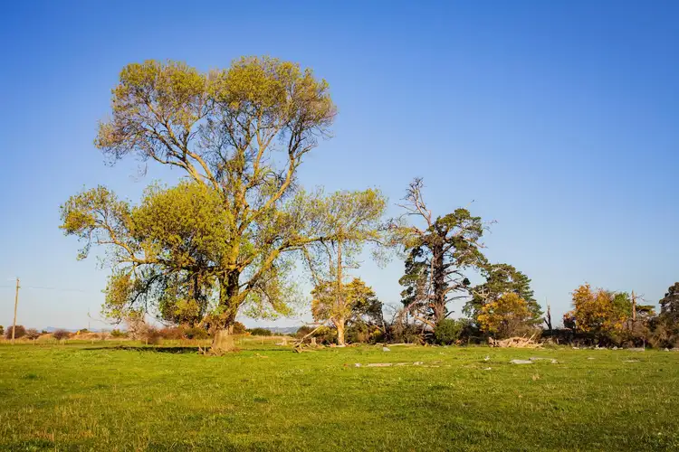 Sixth view of Homely rural property listing, Lots 1 & 2 Simpson Road, Iona VIC 3815
