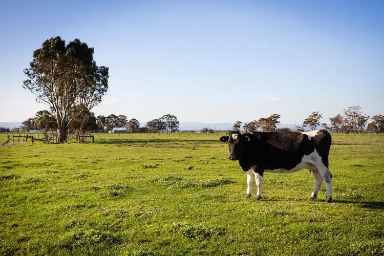 Seventh view of Homely rural property listing, Lots 1 & 2 Simpson Road, Iona VIC 3815