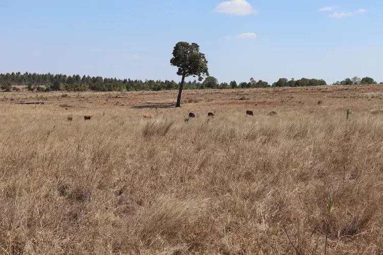 Sixth view of Homely rural property listing, Lot 25 Boundary Road, Monogorilby QLD 4626