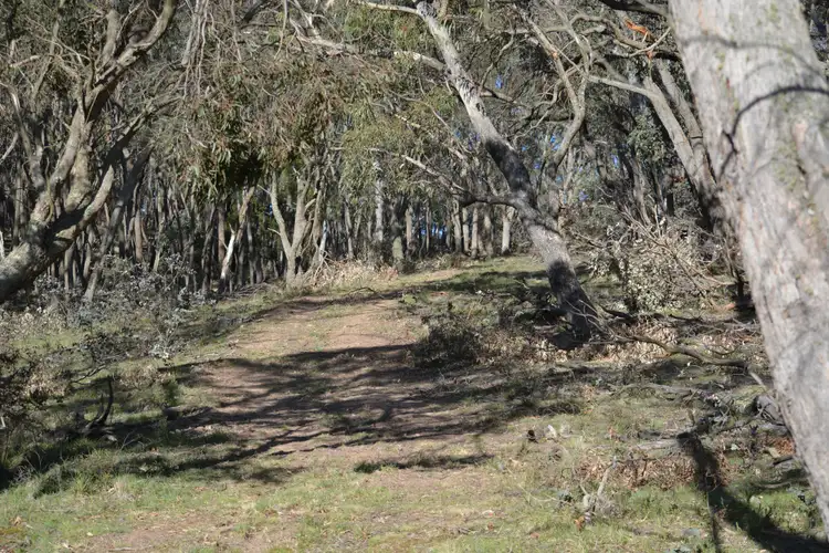 Sixth view of Homely rural property listing, 1812 Wombeyan Caves Road, Taralga NSW 2580