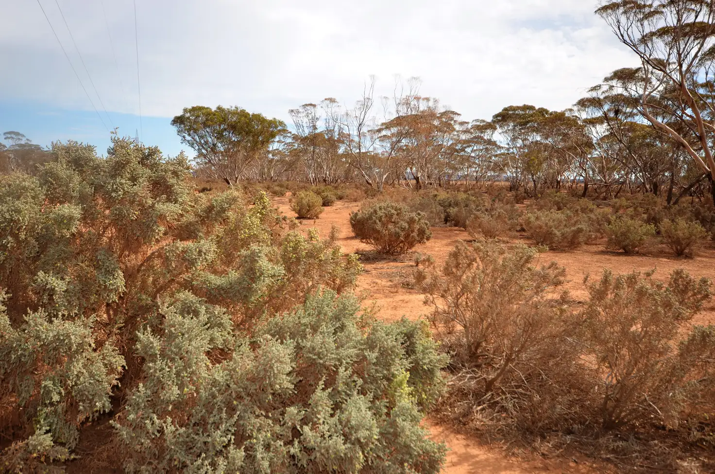 Main view of Homely rural property listing, 'Launer's' Lot 4 Lower Bright Road, Robertstown SA 5381
