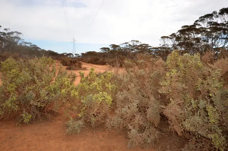 Second view of Homely rural property listing, 'Launer's' Lot 4 Lower Bright Road, Robertstown SA 5381