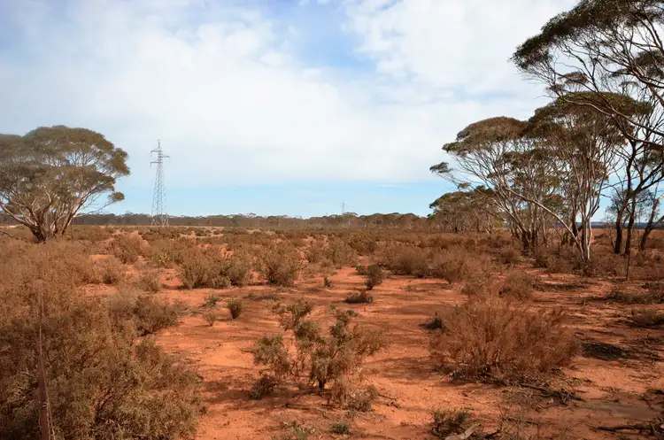 Third view of Homely rural property listing, 'Launer's' Lot 4 Lower Bright Road, Robertstown SA 5381