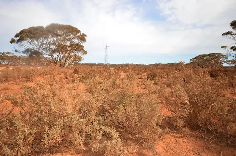 Fourth view of Homely rural property listing, 'Launer's' Lot 4 Lower Bright Road, Robertstown SA 5381