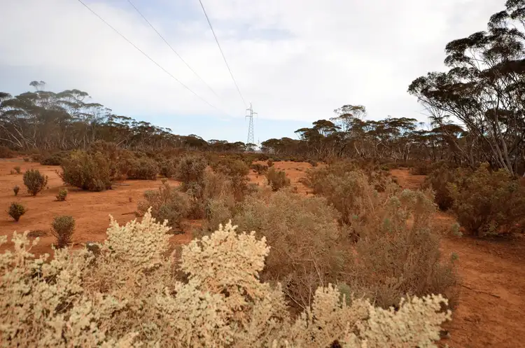 Fifth view of Homely rural property listing, 'Launer's' Lot 4 Lower Bright Road, Robertstown SA 5381