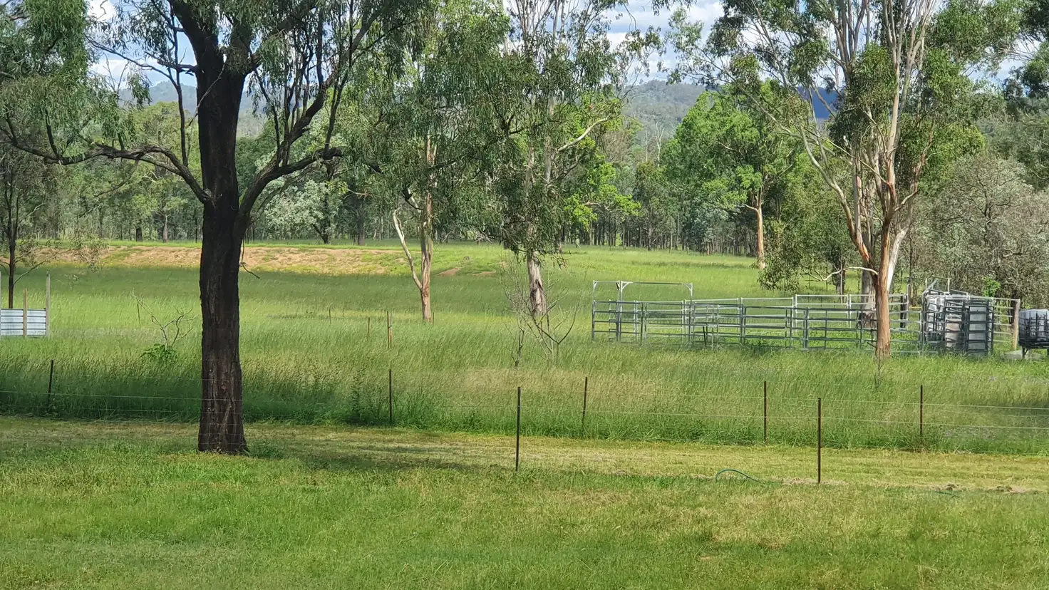 Main view of Homely rural property listing, 1072 Emu Creek Road, Emu Creek QLD 4355
