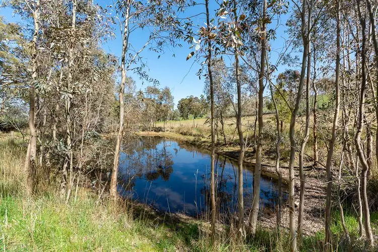 Sixth view of Homely rural property listing, 195 Tiers Road, Woodside SA 5244