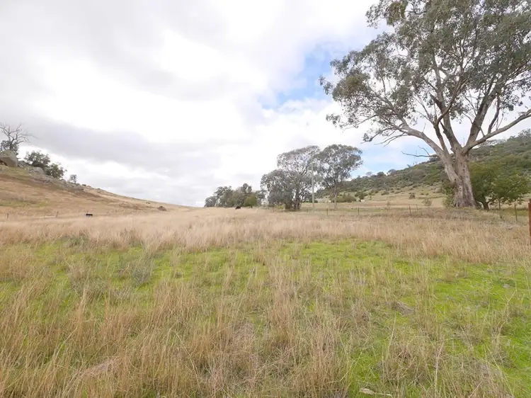 Fifth view of Homely rural property listing, 113 Mount McDonald Road, Darbys Falls NSW 2793