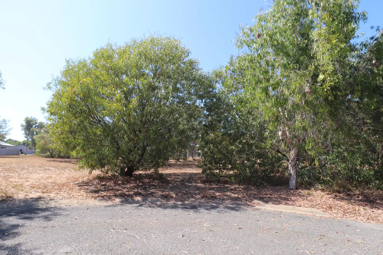 Main view of Homely land listing, 11 Magnolia Court, Forrest Beach QLD 4850