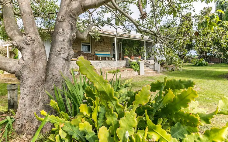 Second view of Homely house listing, 41 O'Halloran Street, Currency Creek SA 5214