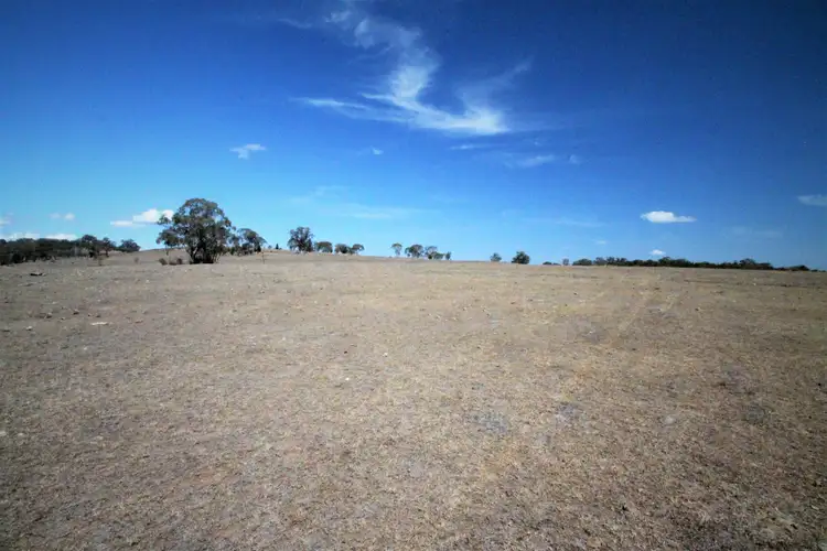 Sixth view of Homely rural property listing, 109 Ray Carter Drive, Quirindi NSW 2343