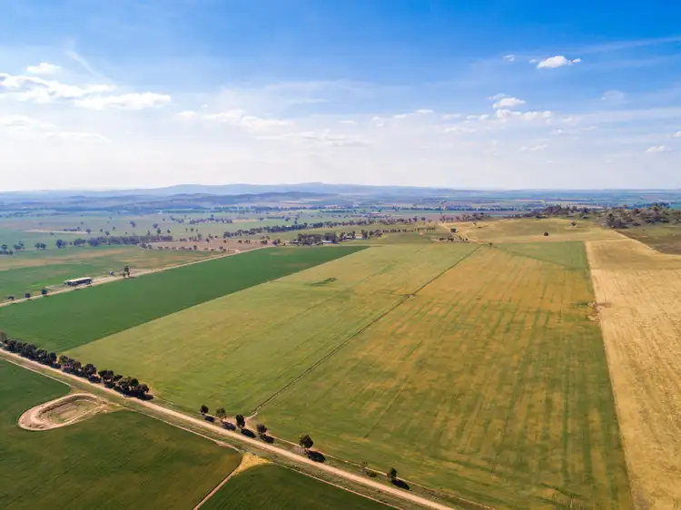 Second view of Homely rural property listing, 191 Troopers Road, Canowindra NSW 2804