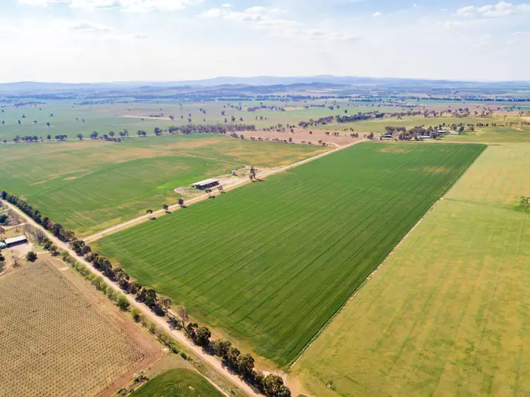 Third view of Homely rural property listing, 191 Troopers Road, Canowindra NSW 2804