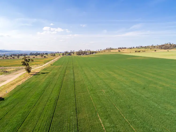 Fourth view of Homely rural property listing, 191 Troopers Road, Canowindra NSW 2804