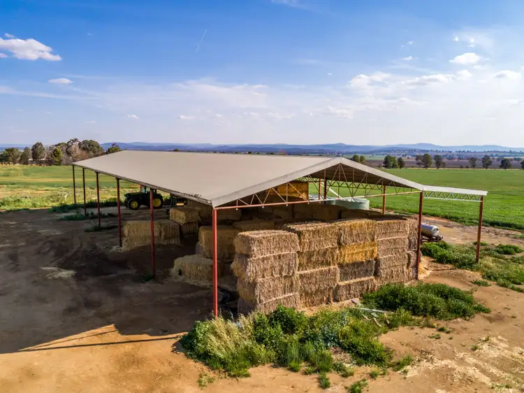 Fifth view of Homely rural property listing, 191 Troopers Road, Canowindra NSW 2804