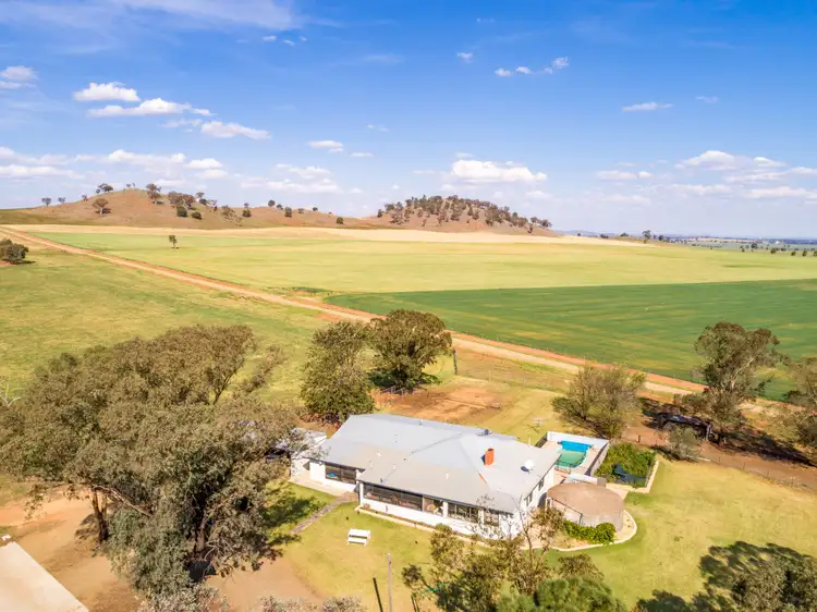 Sixth view of Homely rural property listing, 191 Troopers Road, Canowindra NSW 2804