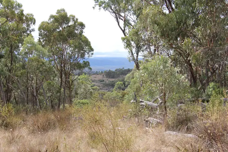 Main view of Homely rural property listing, 135 BACK CREEK Road, Tenterfield NSW 2372