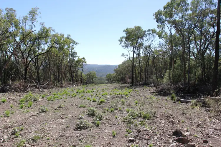 Third view of Homely rural property listing, 135 BACK CREEK Road, Tenterfield NSW 2372