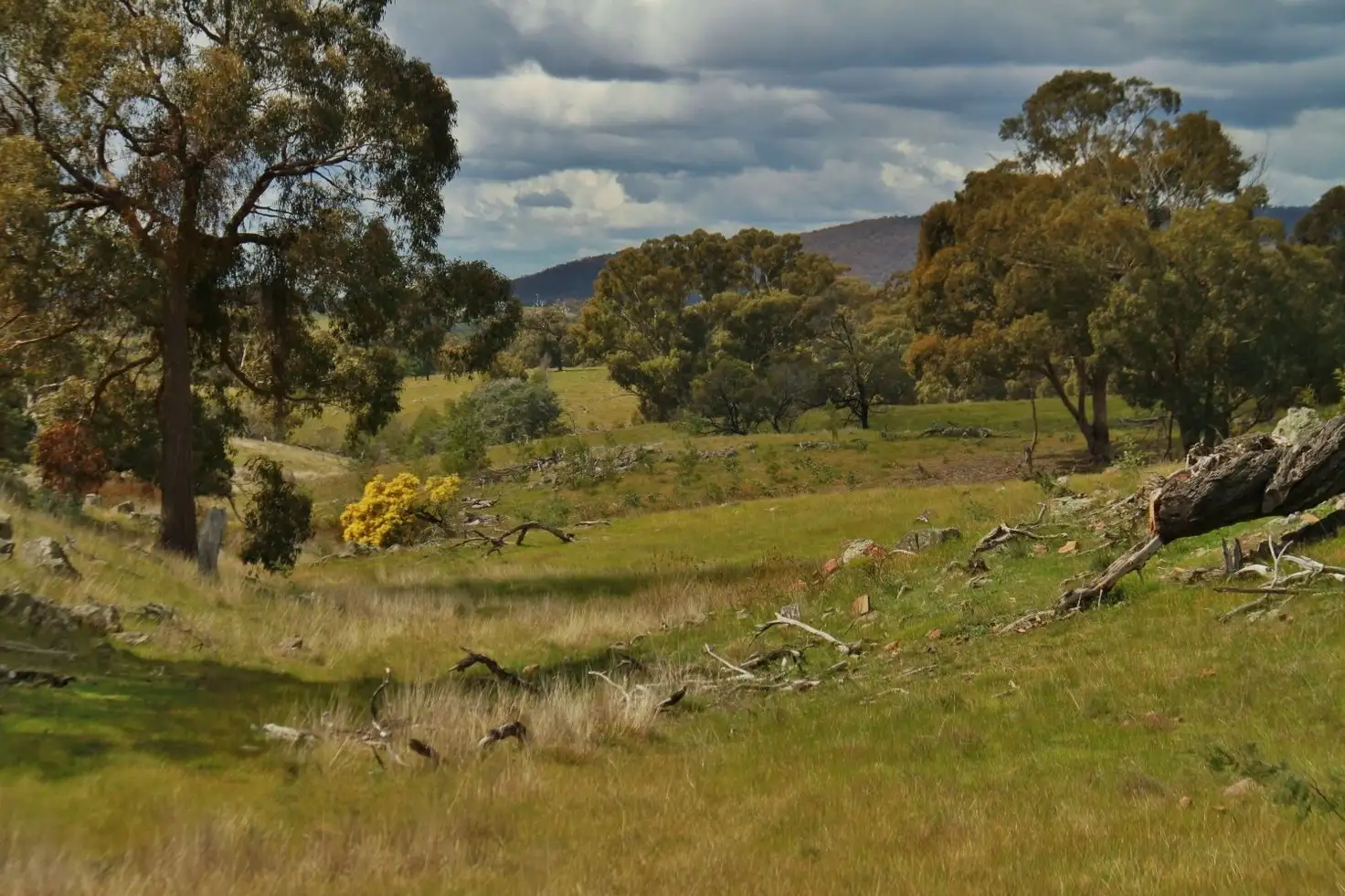 Main view of Homely land listing, Lot 2, 255 Hardings Lane, Tooborac VIC 3522