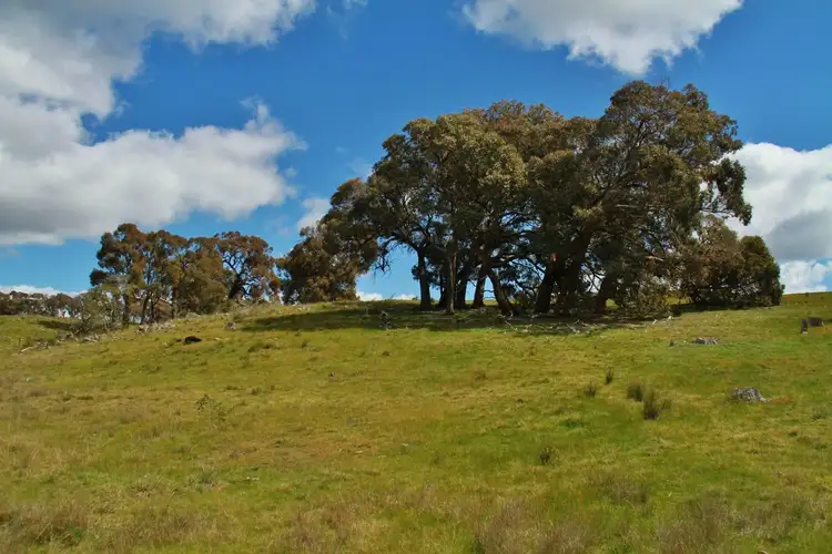 Second view of Homely land listing, Lot 2, 255 Hardings Lane, Tooborac VIC 3522