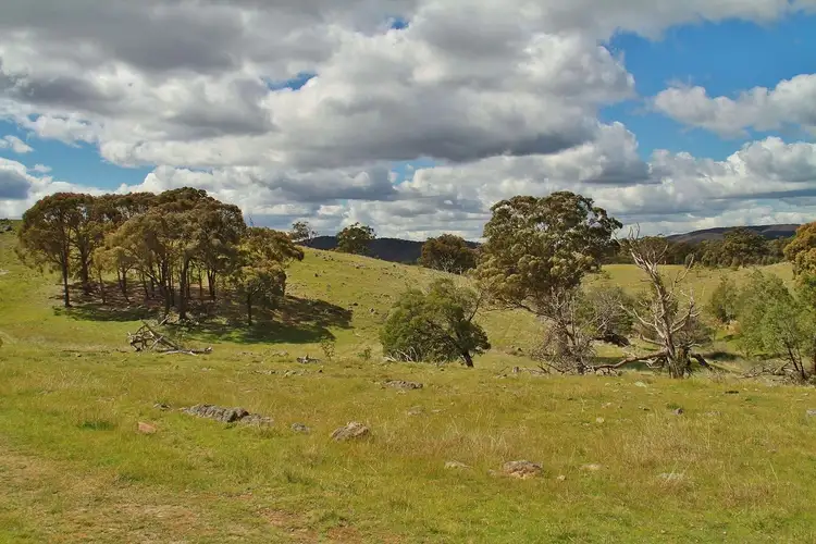 Seventh view of Homely land listing, Lot 2, 255 Hardings Lane, Tooborac VIC 3522
