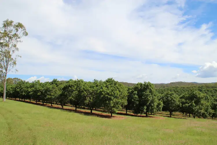 Fourth view of Homely rural property listing, 8 Graves Road, Redbank Creek QLD 4312