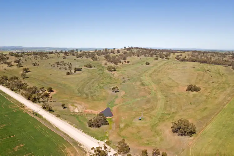 Second view of Homely rural property listing, 'Cobiacs' Lot 401 Wirrabara-Appila Road, Wirrabara SA 5481