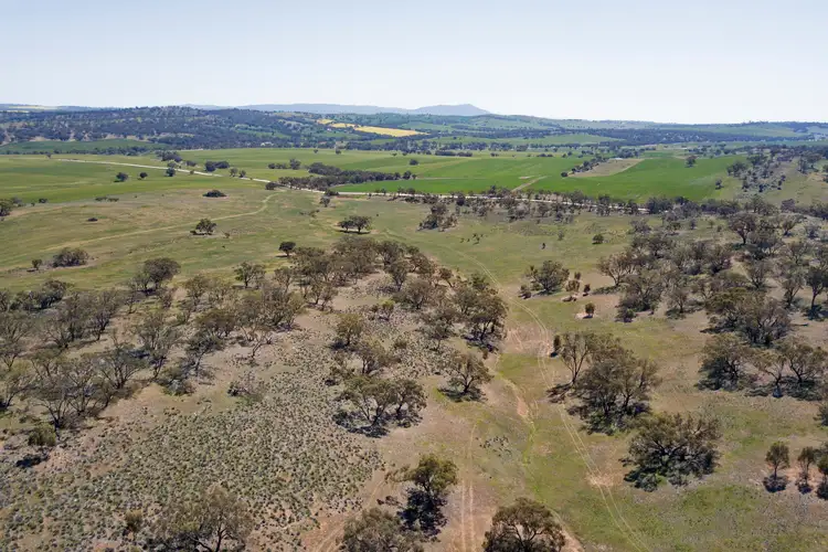 Third view of Homely rural property listing, 'Cobiacs' Lot 401 Wirrabara-Appila Road, Wirrabara SA 5481