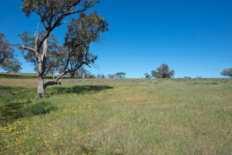 Fourth view of Homely rural property listing, 'Cobiacs' Lot 401 Wirrabara-Appila Road, Wirrabara SA 5481