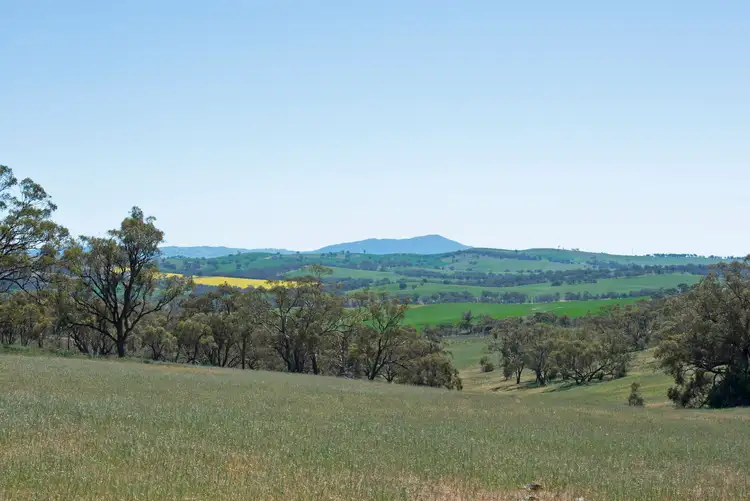 Fifth view of Homely rural property listing, 'Cobiacs' Lot 401 Wirrabara-Appila Road, Wirrabara SA 5481