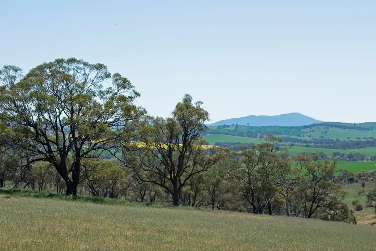 Sixth view of Homely rural property listing, 'Cobiacs' Lot 401 Wirrabara-Appila Road, Wirrabara SA 5481