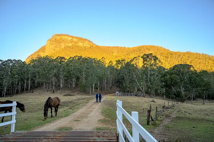 Main view of Homely rural property listing, 872 Condamine River Road, The Falls QLD 4373