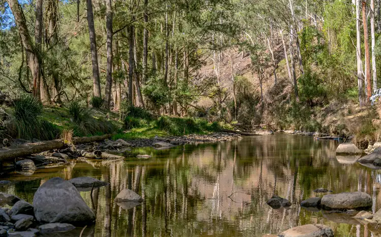Fourth view of Homely rural property listing, 872 Condamine River Road, The Falls QLD 4373