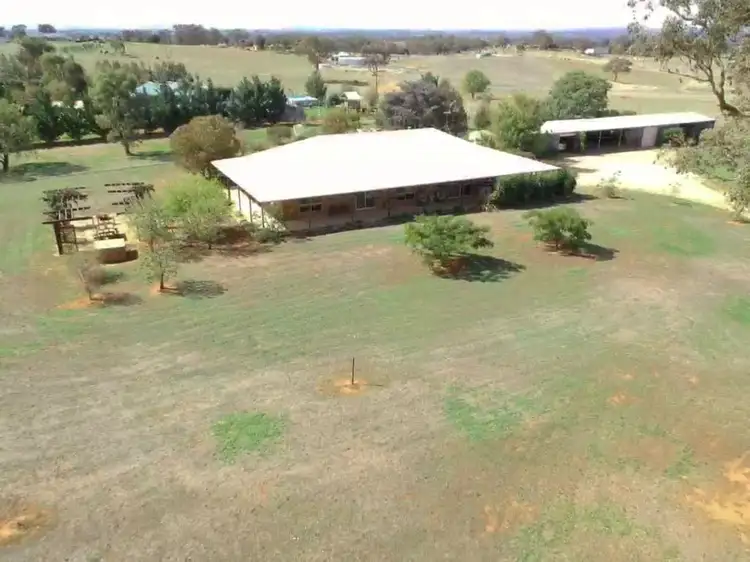 603 Spring Creek Road, Young NSW 2594