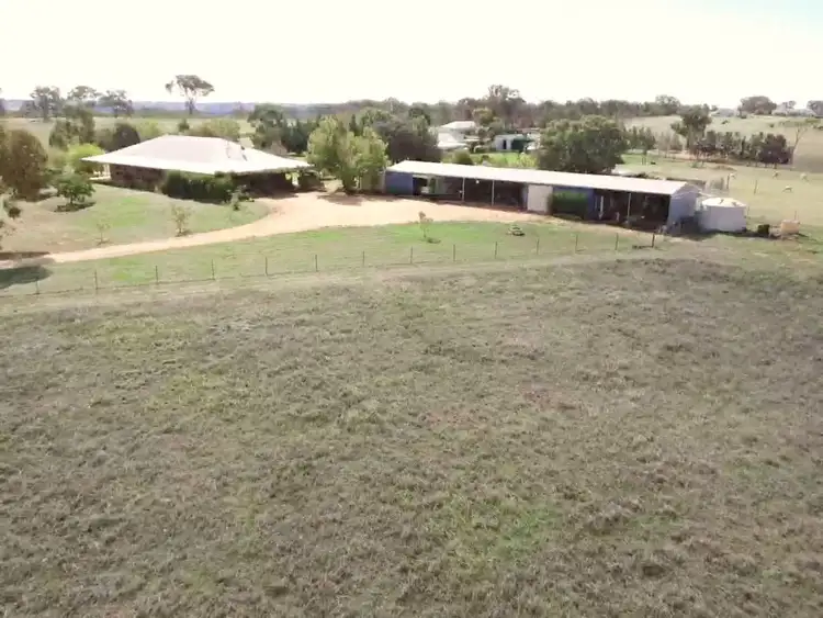 Fourth view of Homely rural property listing, 603 Spring Creek Road, Young NSW 2594