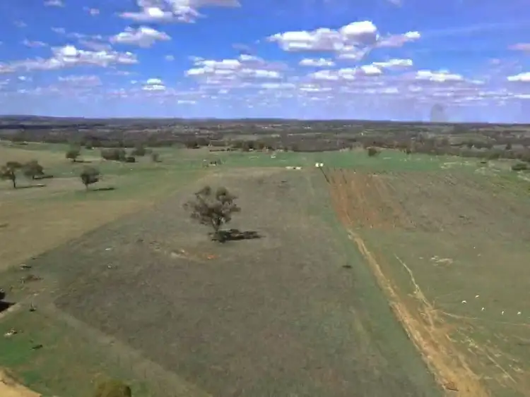 Fifth view of Homely rural property listing, 603 Spring Creek Road, Young NSW 2594