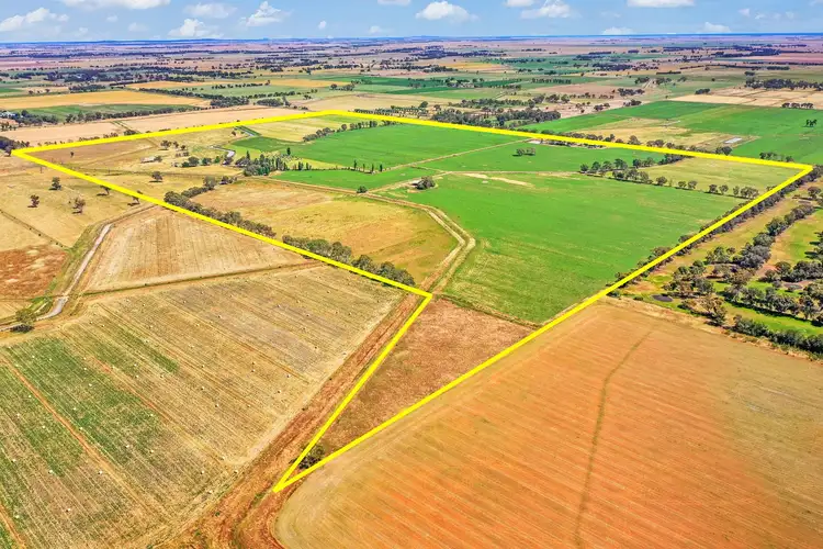 Fourth view of Homely rural property listing, 2066 -2127 Middleton Road, Lockington VIC 3563