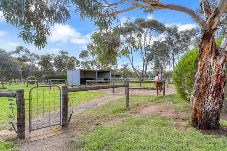 Third view of Homely house listing, 20 Stirling Court, Strathalbyn SA 5255