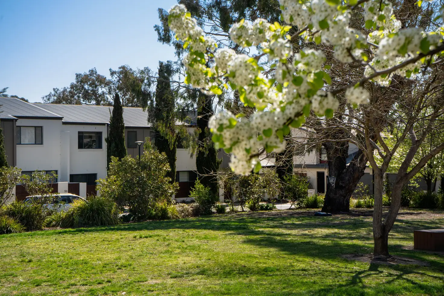 Main view of Homely townhouse listing, 49/215 Aspinall Street, Watson ACT 2602