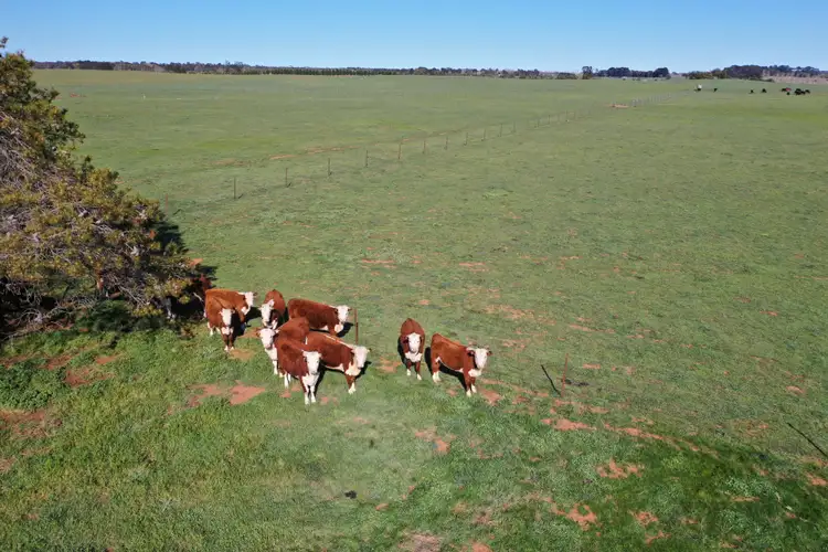 Second view of Homely rural property listing, 152 Bannaby Road, Taralga NSW 2580