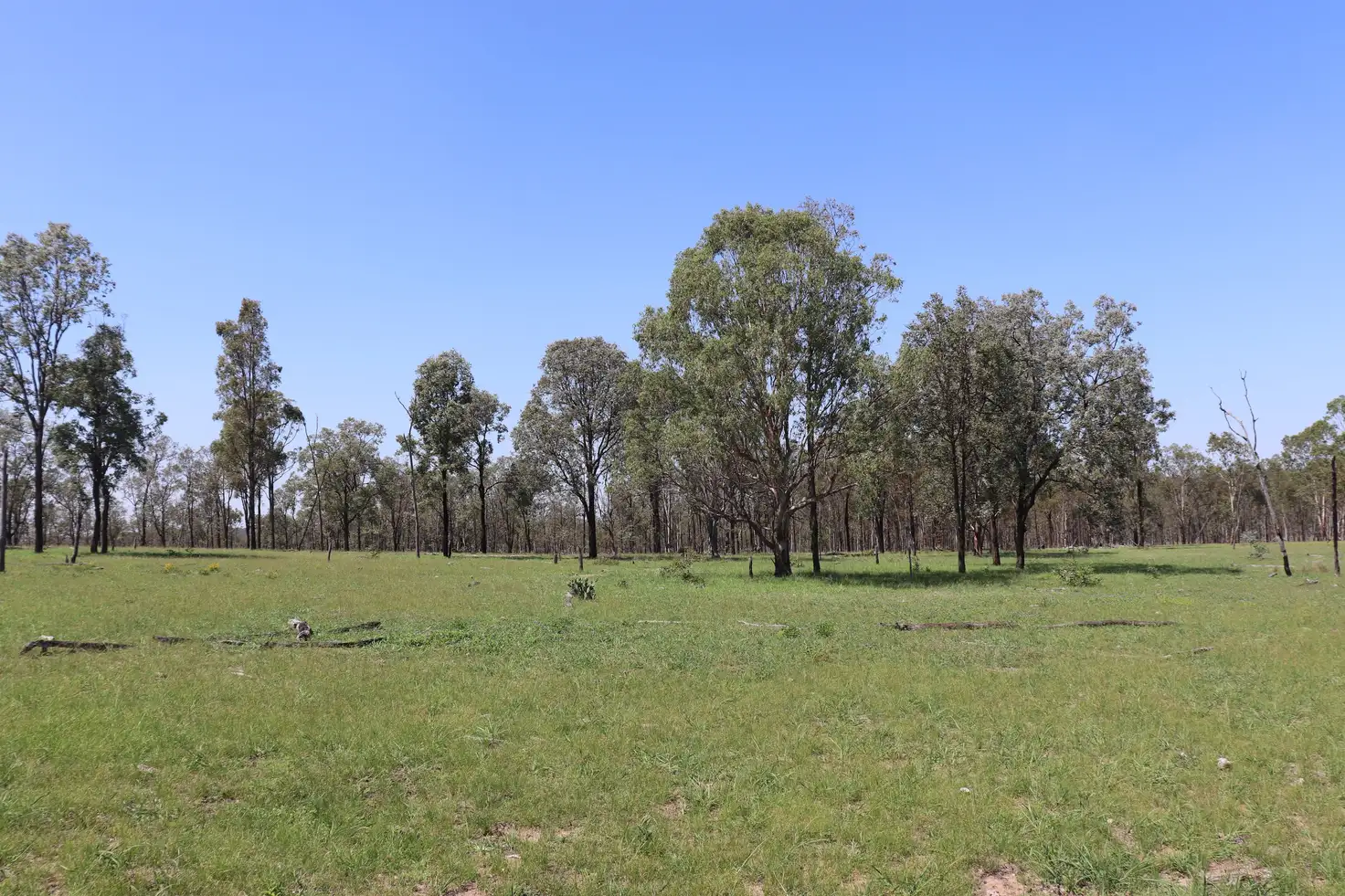 Main view of Homely rural property listing, 'Twenty' Mundubbera Durong Road, Boondooma QLD 4613