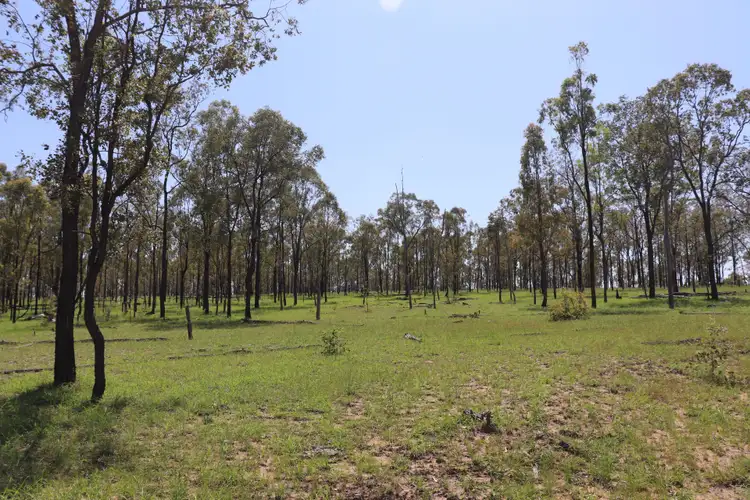 Third view of Homely rural property listing, 'Twenty' Mundubbera Durong Road, Boondooma QLD 4613