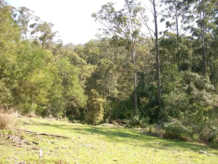Fifth view of Homely rural property listing, 54 McDougal Place Fernmount, Bellingen NSW 2454